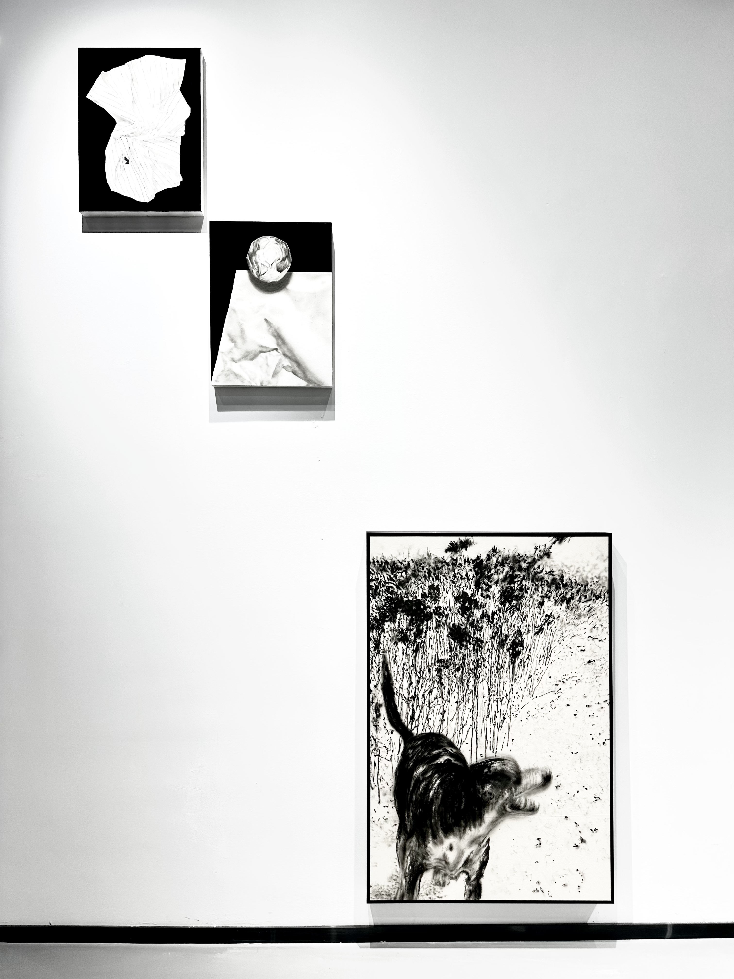 秦强：假水墨 展览现场 4 · 秦强 QIANG QIN · L Gallery