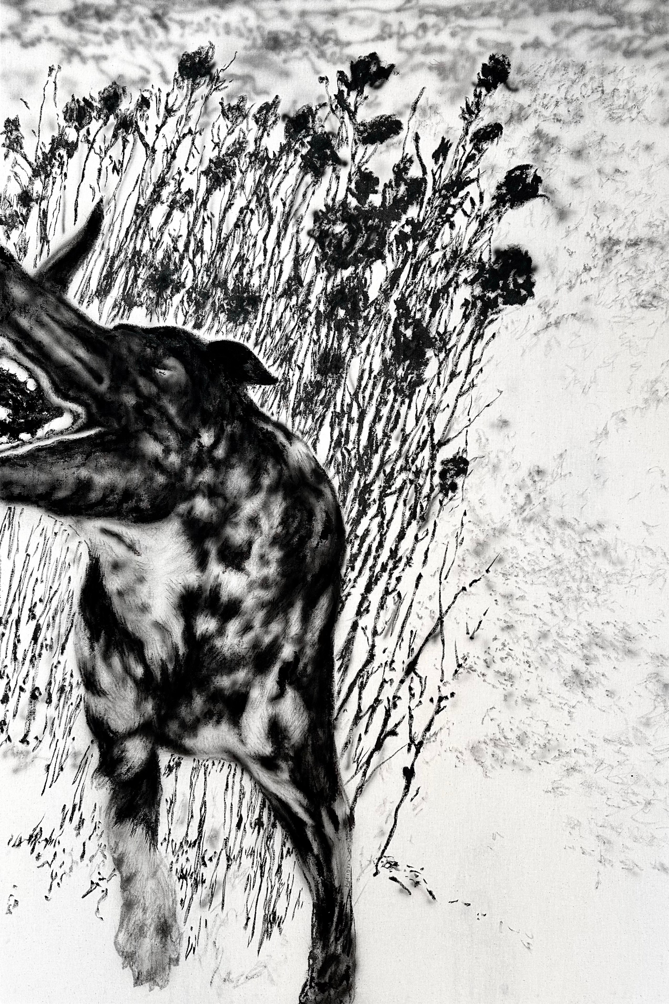 瞬时情绪-写生 Ephemeral Emotions — 秦强 QIANG QIN