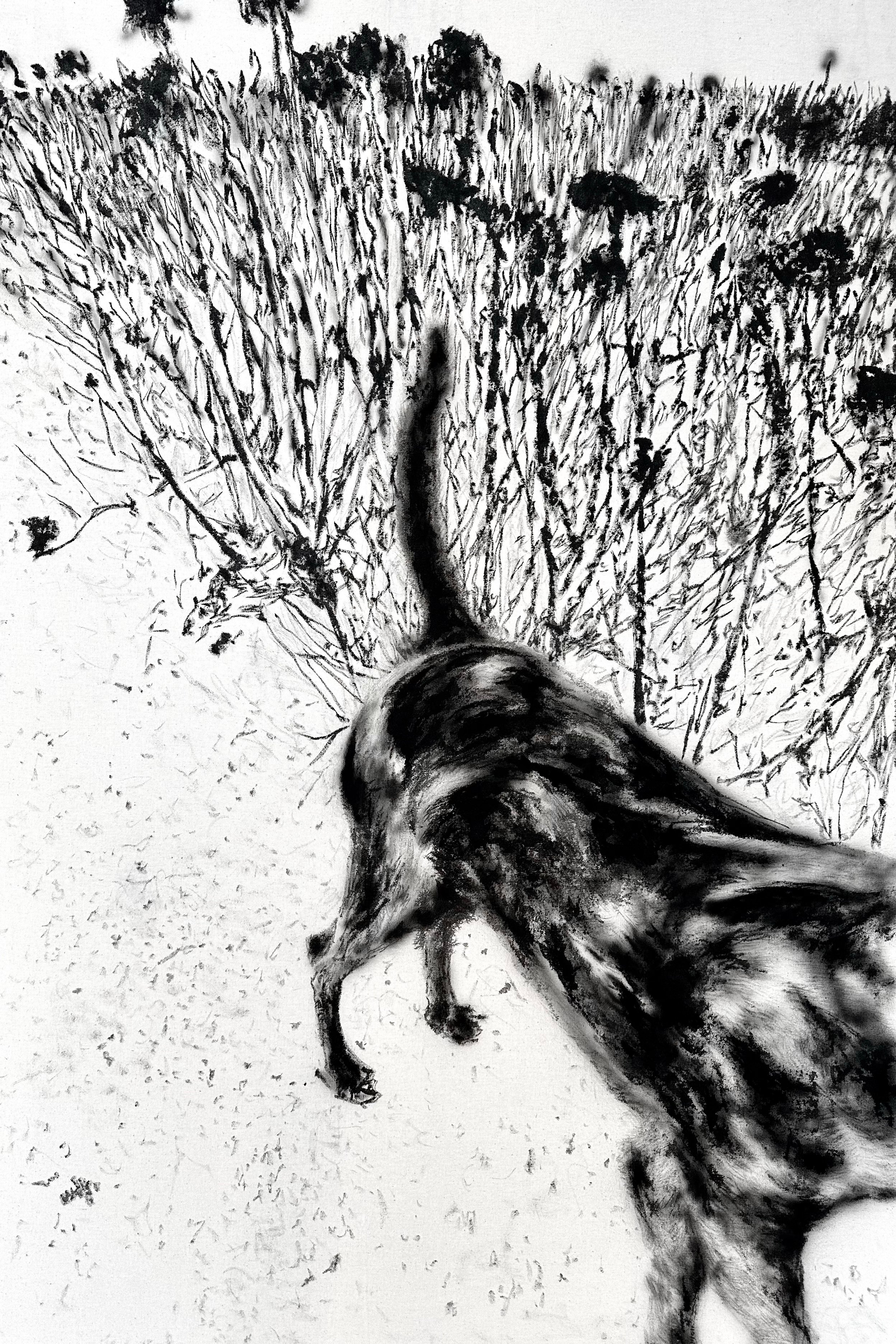 瞬时情绪-写生 Ephemeral Emotions — 秦强 QIANG QIN