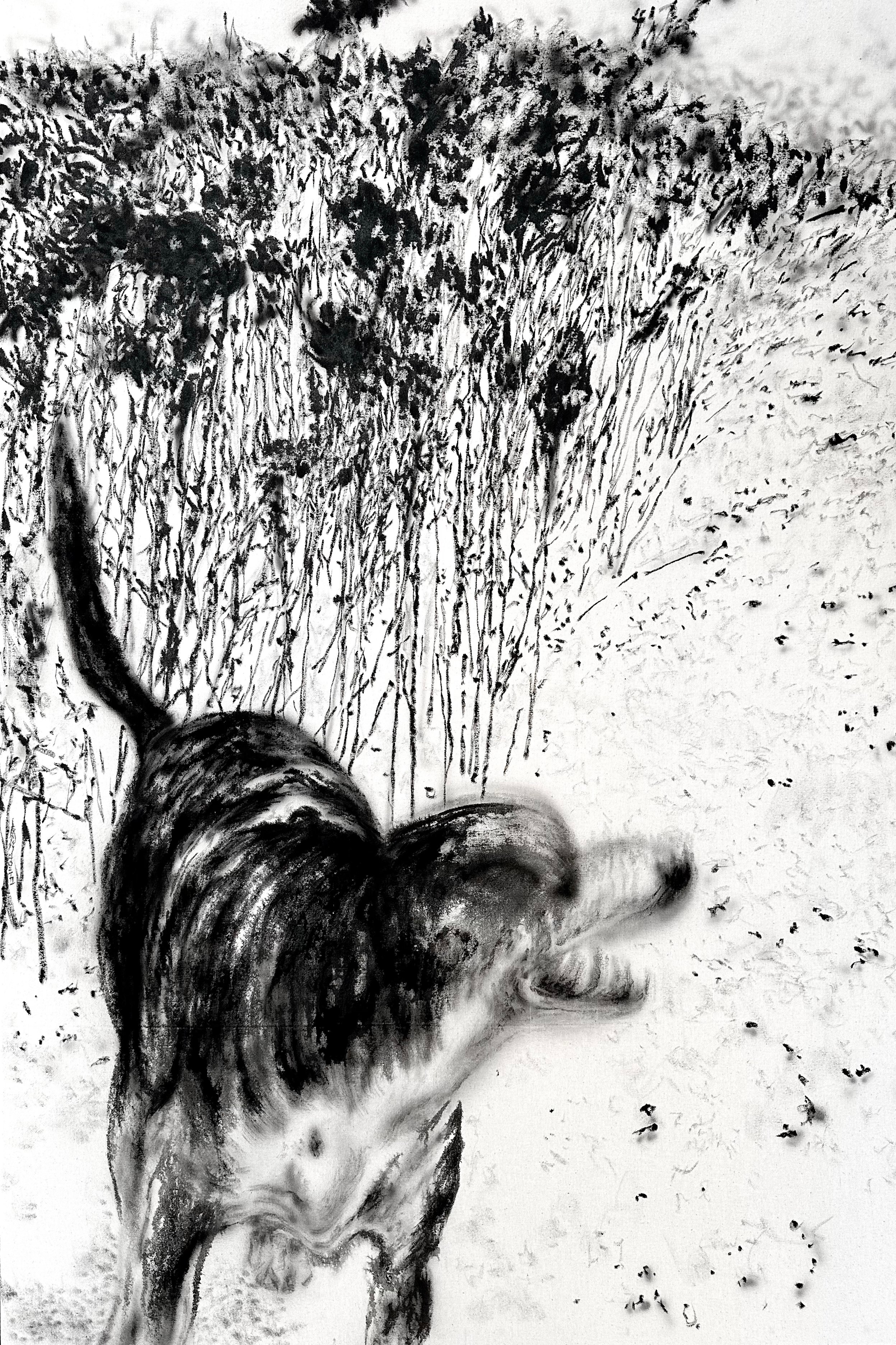 瞬时情绪-写生 Ephemeral Emotions — 秦强 QIANG QIN